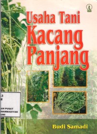 Usaha Tani Kacang Panjang