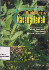 Budidaya Kacang Tanah