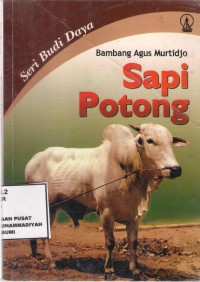 Sapi Potong