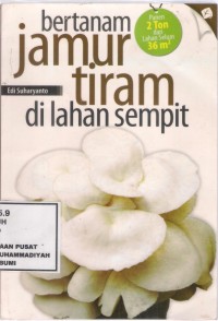 Bertanam Jamur Tiram Dilahan Sempit