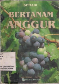 Bertanam Anggur