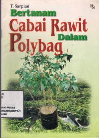 Bertanam Cabai Rawit Dalam Polybag