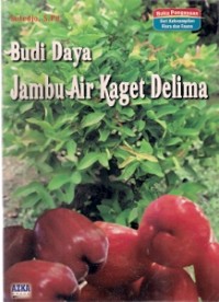 Budi Daya Jambu Air Kaget Delima