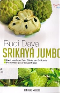 Budi Daya Srikaya Jumbo