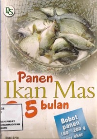 Panen Ikan Mas 2,5 bULAN