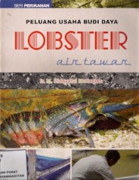 Peluang Usaha Budidaya Lobster Air Tawar