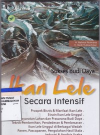 Sukses Budi Daya Ikan Lele secara Intensif