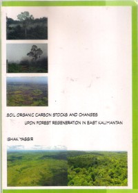 Soil-Organic Carbon Stocks and Changes Upon Forest Regeneration in East Kalimantan