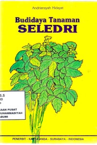 Budidaya Tanaman Saledri