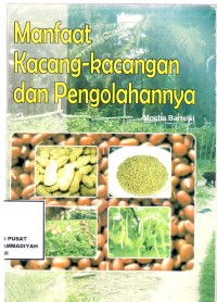 Manfaat Kacang-Kacangan Dan Pengolahannya