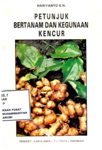 Petunjuk Bertanam & Kegunaan Kencur