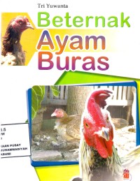 Beternak Ayam Buras