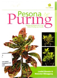 Pesona Puring