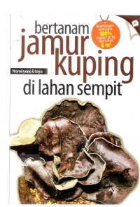 Bertanam Jamur Kuping Dilahan Sempit