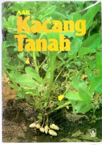 Kacang Tanah