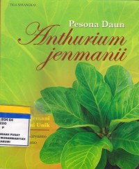 Pesona Daun Anthurium Jenmanii