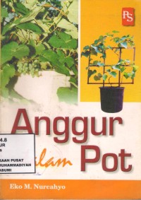 Anggur Dalam Pot