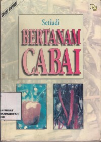 Bertanam Cabai