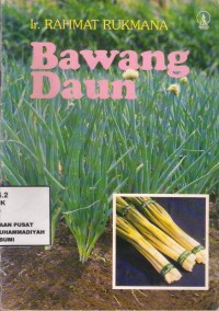 Bawang Daun