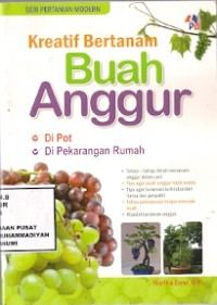 Kreatif Bertanam Buah Anggur