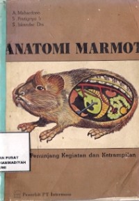 Anatomi Marmot