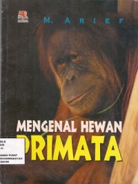 Mengenal Hewan Primata