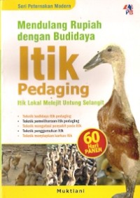 Mendulang Rupiah Dengan Budidaya Itik Pedaging : itik lokal melejit untung selangit