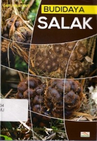 Budidaya Salak