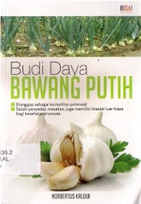 Budi Daya Bawang Putih