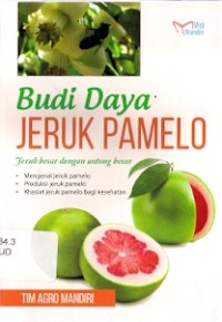 Budi Daya Jeruk Pamelo