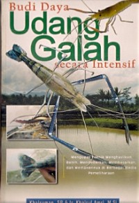 Budi Daya Udang Galah Secara Intensif